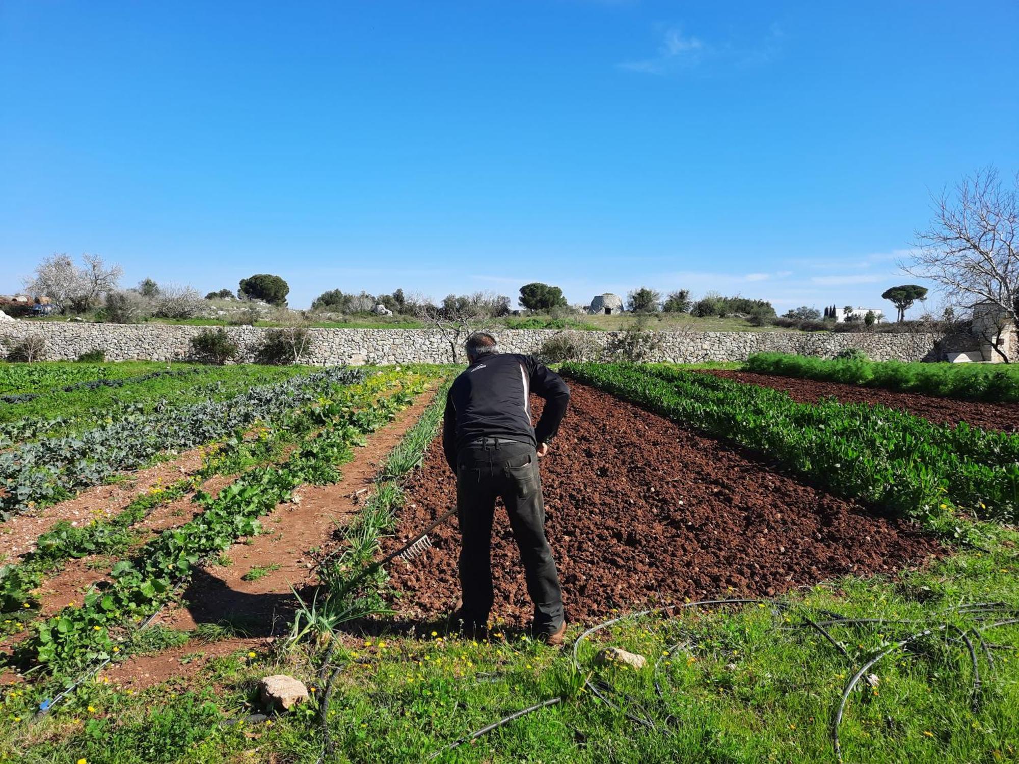 Masseria San Cosimo Carpignano Salentino Eksteriør bilde